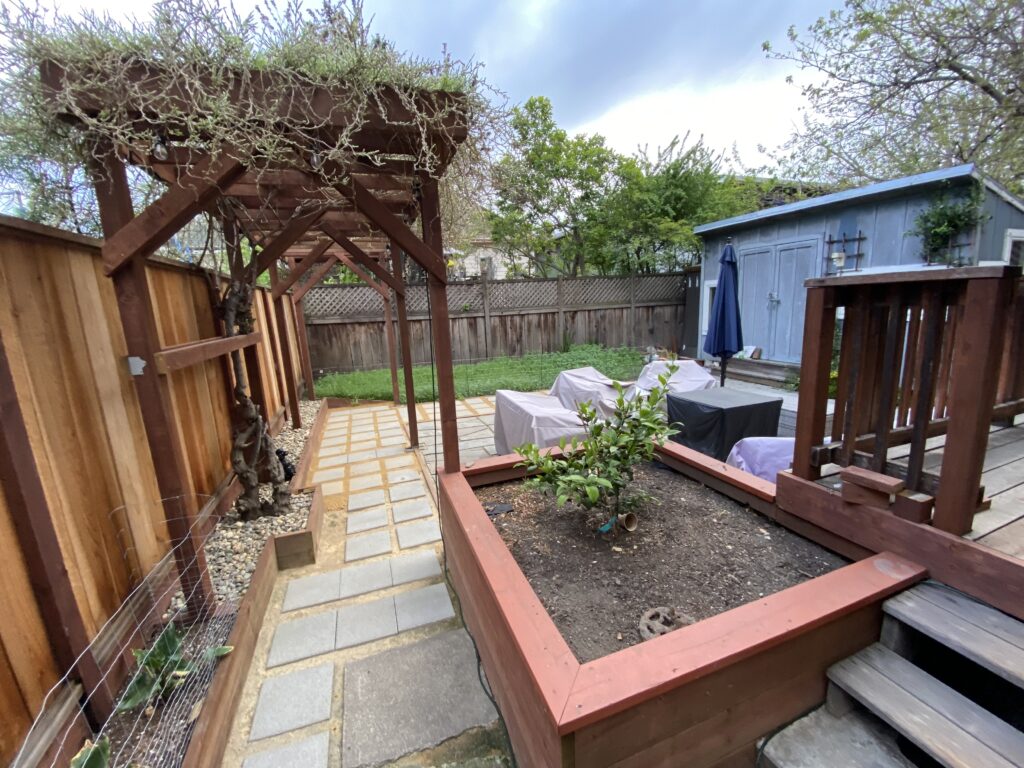 A raised bed in a back yard